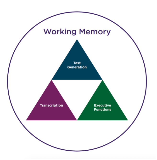 一个标有工作记忆的圆圈，其中包含3个相等大小的标记三角形。三角形分为2行。底行有2个三角形：转录和执行功能。他们在顶行中占据了第三个三角形，文本生成。